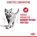 ROYAL CANIN FCN Light Weight Care w galaretce - mokra karma dla kota dorosłego - 12x85g Royal Canin