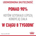 ROYAL CANIN FCN Light Weight Care w galaretce - mokra karma dla kota dorosłego - 12x85g Royal Canin