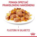 ROYAL CANIN FCN Light Weight Care w galaretce - mokra karma dla kota dorosłego - 12x85g Royal Canin