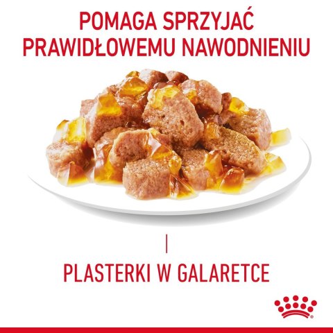 ROYAL CANIN FCN Light Weight Care w galaretce - mokra karma dla kota dorosłego - 12x85g Royal Canin ROYAL CANIN FCN Light Weight Care w galaretce - mokra karma dla kota dorosłego - 12x85g Royal Canin