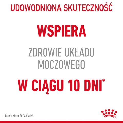 ROYAL CANIN FCN Urinary Care w sosie - mokra karma dla kota dorosłego - 12x85g Royal Canin ROYAL CANIN FCN Urinary Care w sosie - mokra karma dla kota dorosłego - 12x85g Royal Canin
