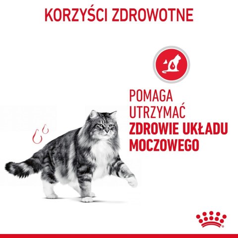 ROYAL CANIN FCN Urinary Care w sosie - mokra karma dla kota dorosłego - 12x85g Royal Canin ROYAL CANIN FCN Urinary Care w sosie - mokra karma dla kota dorosłego - 12x85g Royal Canin