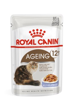 ROYAL CANIN FHN Ageing 12+ w galaretce - mokra karma dla kota starszego - 12x85g Royal Canin