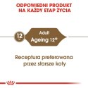 ROYAL CANIN FHN Ageing 12+ w galaretce - mokra karma dla kota starszego - 12x85g Royal Canin