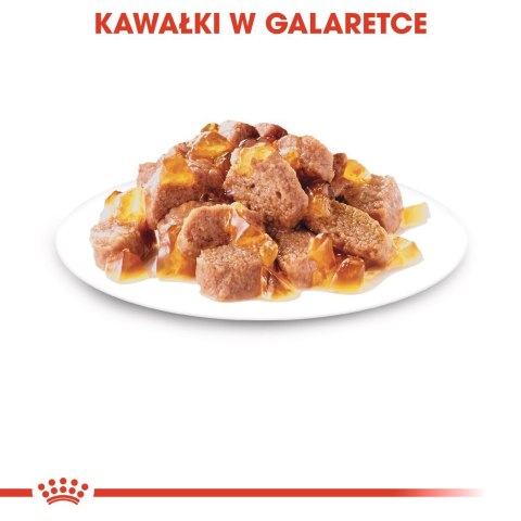 ROYAL CANIN FHN Ageing 12+ w galaretce - mokra karma dla kota starszego - 12x85g Royal Canin ROYAL CANIN FHN Ageing 12+ w galaretce - mokra karma dla kota starszego - 12x85g Royal Canin