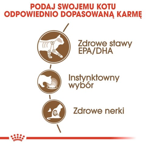 ROYAL CANIN FHN Ageing 12+ w galaretce - mokra karma dla kota starszego - 12x85g Royal Canin ROYAL CANIN FHN Ageing 12+ w galaretce - mokra karma dla kota starszego - 12x85g Royal Canin