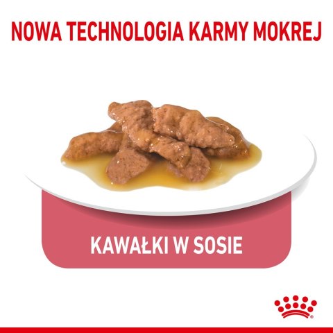 ROYAL CANIN FHN Indoor w sosie - mokra karma dla kota dorosłego - 12x85g Royal Canin ROYAL CANIN FHN Indoor w sosie - mokra karma dla kota dorosłego - 12x85g Royal Canin
