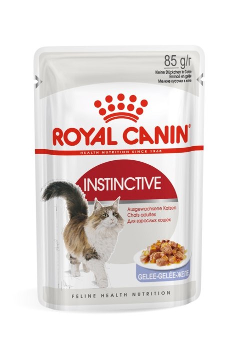 ROYAL CANIN FHN Instinctive w galaretce - mokra karma dla kota dorosłego - 12x85g Royal Canin ROYAL CANIN FHN Instinctive w galaretce - mokra karma dla kota dorosłego - 12x85g Royal Canin