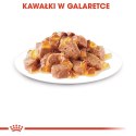 ROYAL CANIN FHN Instinctive w galaretce - mokra karma dla kota dorosłego - 12x85g Royal Canin