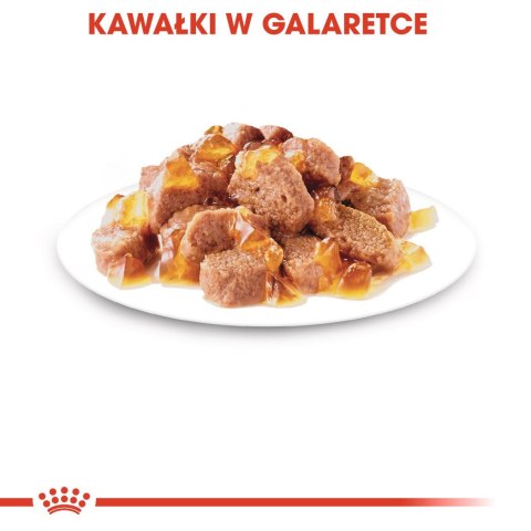 ROYAL CANIN FHN Instinctive w galaretce - mokra karma dla kota dorosłego - 12x85g Royal Canin ROYAL CANIN FHN Instinctive w galaretce - mokra karma dla kota dorosłego - 12x85g Royal Canin