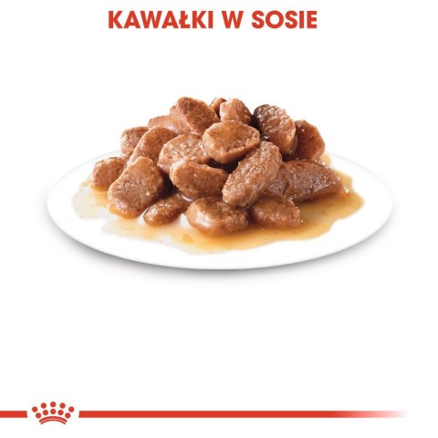 ROYAL CANIN FHN Instinctive w sosie - mokra karma dorosłych kotów - 12x 85 g Royal Canin ROYAL CANIN FHN Instinctive w sosie - mokra karma dorosłych kotów - 12x 85 g Royal Canin