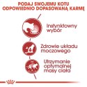 ROYAL CANIN FHN Instinctive w sosie - mokra karma dorosłych kotów - 12x 85 g Royal Canin