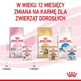 ROYAL CANIN FHN Kitten Instinctive in Jelly - mokra karma dla kociąt - 12x85g Royal Canin