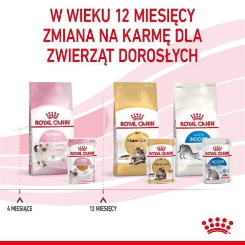 ROYAL CANIN FHN Kitten Instinctive in Jelly - mokra karma dla kociąt - 12x85g Royal Canin ROYAL CANIN FHN Kitten Instinctive in Jelly - mokra karma dla kociąt - 12x85g Royal Canin