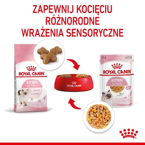 ROYAL CANIN FHN Kitten Instinctive in Jelly - mokra karma dla kociąt - 12x85g Royal Canin ROYAL CANIN FHN Kitten Instinctive in Jelly - mokra karma dla kociąt - 12x85g Royal Canin