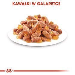 ROYAL CANIN FHN Kitten Instinctive in Jelly - mokra karma dla kociąt - 12x85g Royal Canin ROYAL CANIN FHN Kitten Instinctive in Jelly - mokra karma dla kociąt - 12x85g Royal Canin