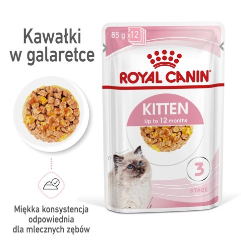 ROYAL CANIN FHN Kitten Instinctive in Jelly - mokra karma dla kociąt - 12x85g Royal Canin ROYAL CANIN FHN Kitten Instinctive in Jelly - mokra karma dla kociąt - 12x85g Royal Canin