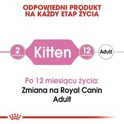 ROYAL CANIN FHN Kitten Instinctive in Jelly - mokra karma dla kociąt - 12x85g Royal Canin ROYAL CANIN FHN Kitten Instinctive in Jelly - mokra karma dla kociąt - 12x85g Royal Canin