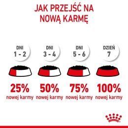 ROYAL CANIN FHN Kitten Sterilised w sosie - mokra karma dla kociąt - 12x85 g Royal Canin