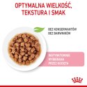 ROYAL CANIN FHN Kitten Sterilised w sosie - mokra karma dla kociąt - 12x85 g Royal Canin