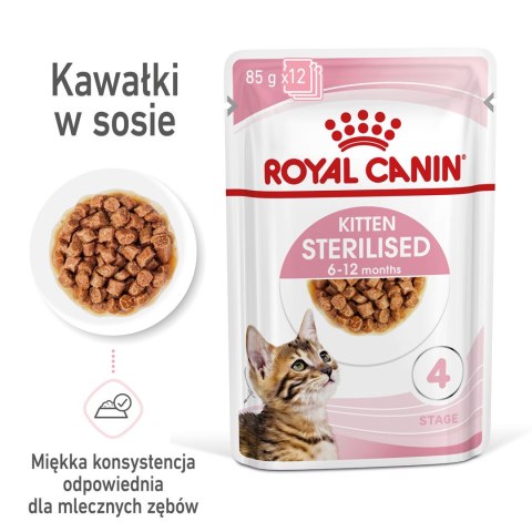 ROYAL CANIN FHN Kitten Sterilised w sosie - mokra karma dla kociąt - 12x85 g Royal Canin ROYAL CANIN FHN Kitten Sterilised w sosie - mokra karma dla kociąt - 12x85 g Royal Canin