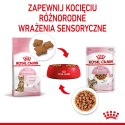 ROYAL CANIN FHN Kitten Sterilised w sosie - mokra karma dla kociąt - 12x85 g Royal Canin