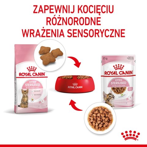 ROYAL CANIN FHN Kitten Sterilised w sosie - mokra karma dla kociąt - 12x85 g Royal Canin ROYAL CANIN FHN Kitten Sterilised w sosie - mokra karma dla kociąt - 12x85 g Royal Canin