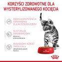 ROYAL CANIN FHN Kitten Sterilised w sosie - mokra karma dla kociąt - 12x85 g Royal Canin