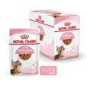 ROYAL CANIN FHN Kitten Sterilised w sosie - mokra karma dla kociąt - 12x85 g Royal Canin