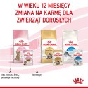 ROYAL CANIN FHN Kitten Sterilised w sosie - mokra karma dla kociąt - 12x85 g Royal Canin