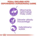 ROYAL CANIN FHN Sterilised w sosie - mokra karma dla kota dorosłego - 12x85g Royal Canin