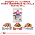 ROYAL CANIN FHN Sterilised w sosie - mokra karma dla kota dorosłego - 12x85g Royal Canin
