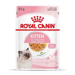 Royal Canin FHN Kitten Instinctive w galaretce - mokra karma dla kociąt - 12x85g Royal Canin