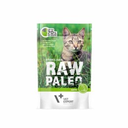 VetExpert Raw Paleo sterilised Dzik saszetka 100g VetExpert