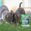 VetExpert Raw Paleo sterilised Dzik saszetka 100g VetExpert