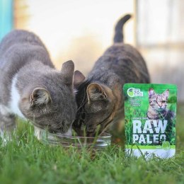 VetExpert Raw Paleo sterilised Dzik saszetka 100g VetExpert