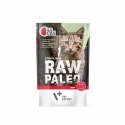 VetExpert Raw Paleo sterilised Wołowina saszetka 100g VetExpert