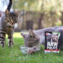 VetExpert Raw Paleo sterilised Wołowina saszetka 100g VetExpert