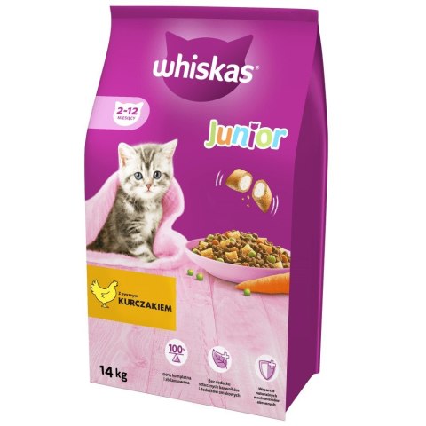 WHISKAS Junior z kurczakiem - sucha karma dla kota - 14 kg WHISKAS Junior z kurczakiem - sucha karma dla kota - 14 kg