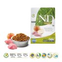 FARMINA N&D Prime Cat Boar and Apple Adult - sucha karma dla kota - 300 g Farmina