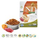 FARMINA N&D Pumpkin Cat Duck and Cantaloupe Melon Adult - sucha karma dla kota - 300 g Farmina