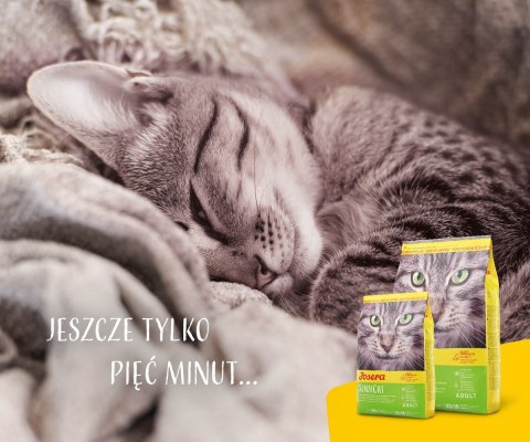 JOSERA SensiCat - 2kg JOSERA JOSERA SensiCat - 2kg JOSERA