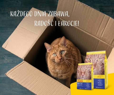 Josera DailyCat - sucha karma dla kotów - 10kg JOSERA Josera DailyCat - sucha karma dla kotów - 10kg JOSERA