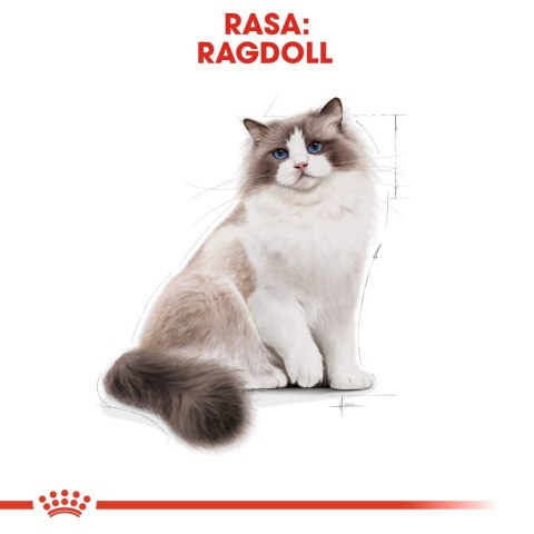 Karma Royal Canin FBN Ragdoll (0,40 kg ) Royal Canin Karma Royal Canin FBN Ragdoll (0,40 kg ) Royal Canin