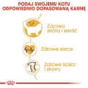 Karma Royal Canin FBN Ragdoll (0,40 kg ) Royal Canin