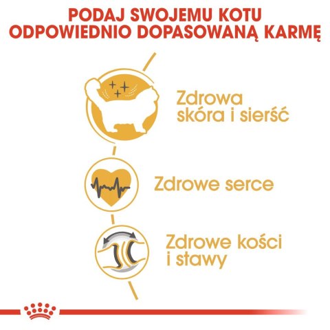 Karma Royal Canin FBN Ragdoll (0,40 kg ) Royal Canin Karma Royal Canin FBN Ragdoll (0,40 kg ) Royal Canin
