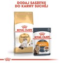 Karma Royal Canin FBN Ragdoll (0,40 kg ) Royal Canin