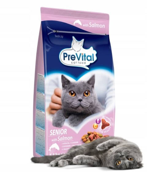 PREVITAL łosoś senior karma sucha dla kotów 1,4kg PREVITAL PREVITAL łosoś senior karma sucha dla kotów 1,4kg PREVITAL