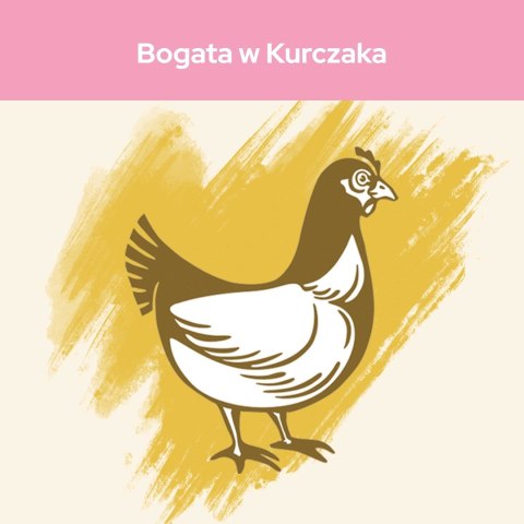 PURINA CAT CHOW Kitten Chicken - sucha karma dla kociąt - 1,5 kg PURINA NESTLE PURINA CAT CHOW Kitten Chicken - sucha karma dla kociąt - 1,5 kg PURINA NESTLE