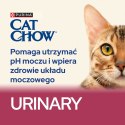 PURINA CAT CHOW Special Care Urinary Tract Health - sucha karma dla kota - 1,5 kg PURINA NESTLE